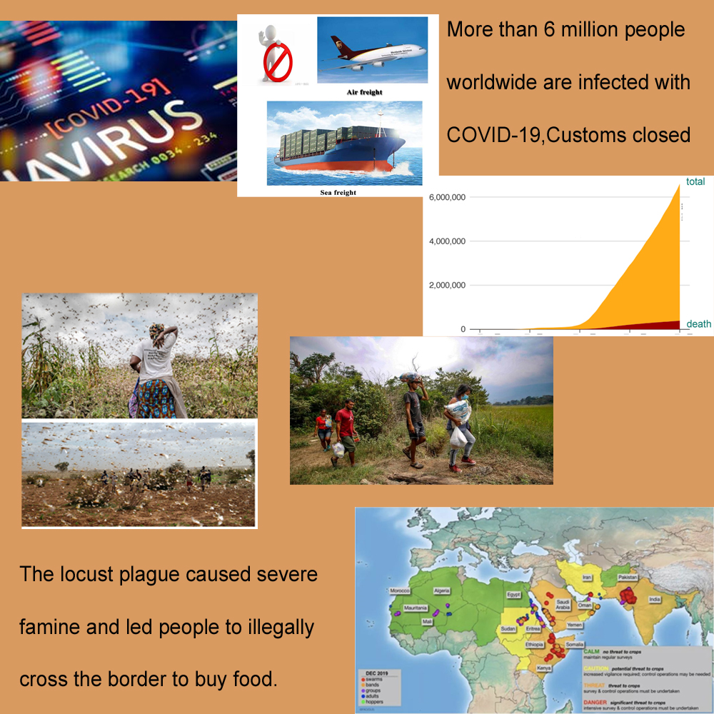 COVID Locust plague Great famine and dal mill​