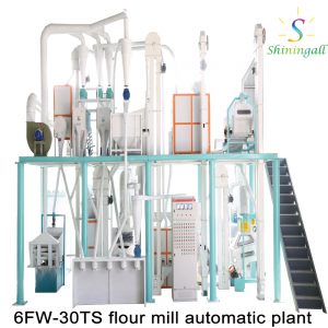 6FW-30TS flour mill automatic plant