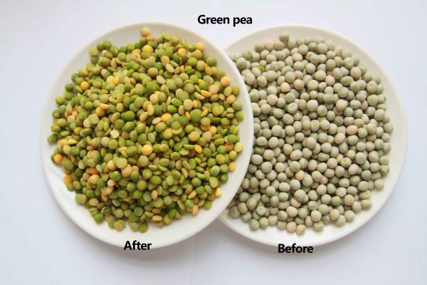 mini dal mill machine price