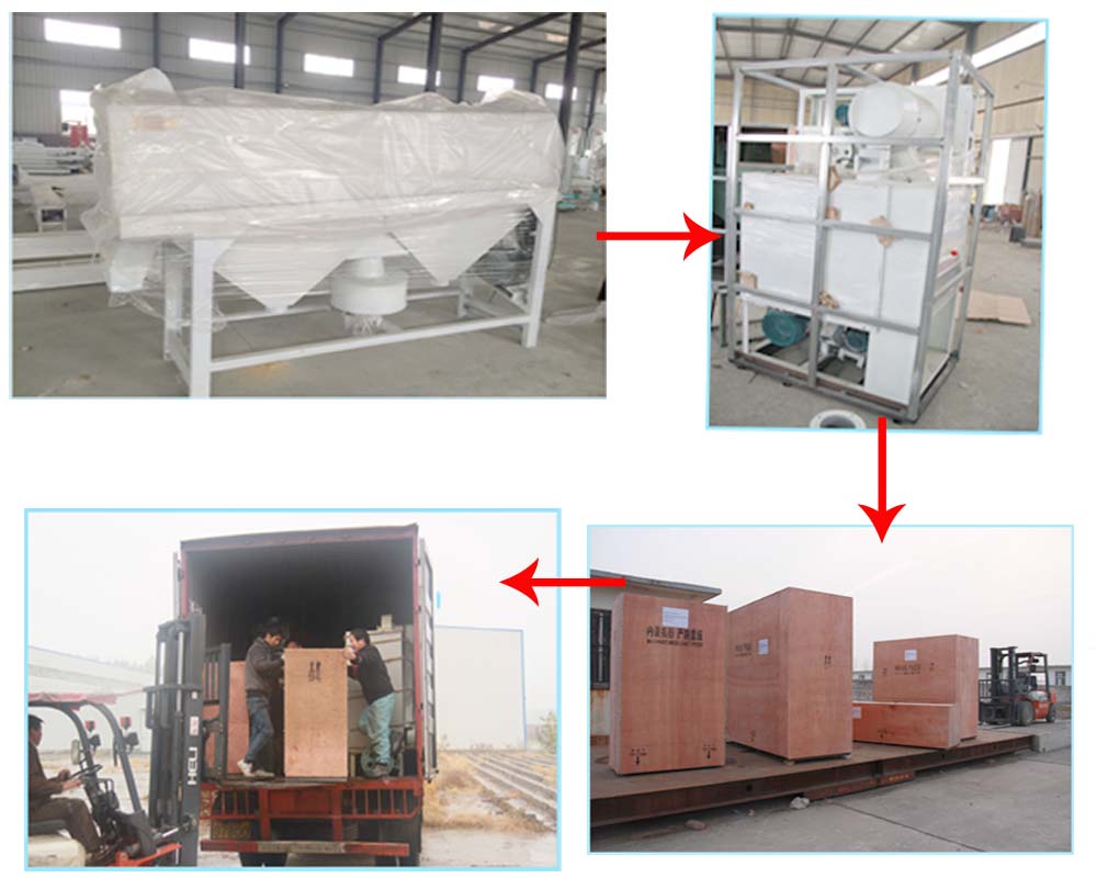 Quonia peeling machine