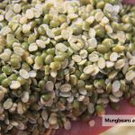 pulses dal mill machine