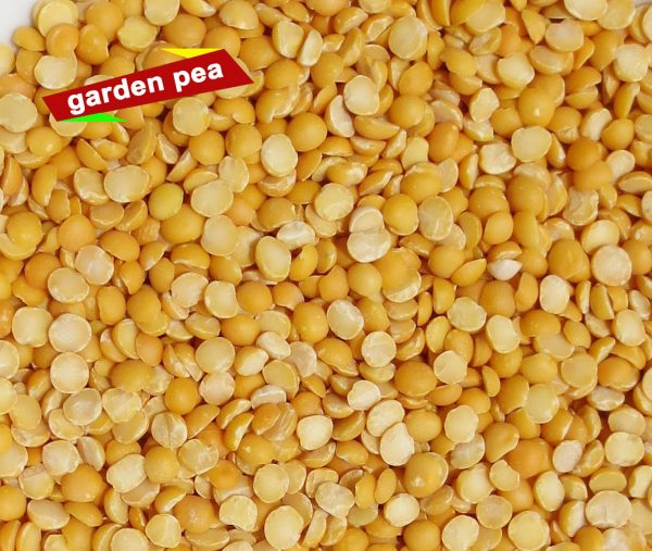dal machinery