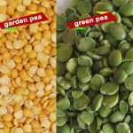 pulses dal mill machine