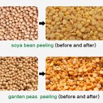 pulses dal mill machine