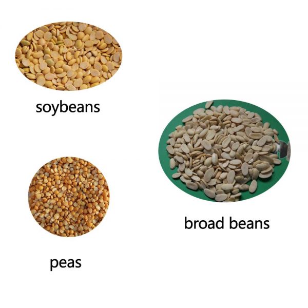 Finished products by mini dal mill price