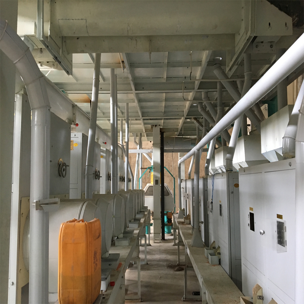 Dal mill plant for lentil peeling