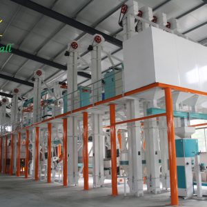 100TPD corn milling companies