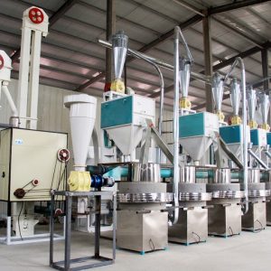 electric stone mill plant