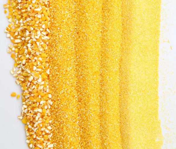 corn grits
