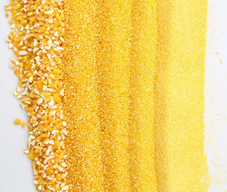 Corn Grinder advanced grinding machine for corn grits and flour