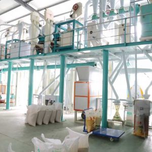 grain processing machinery